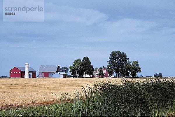 Bauernhof mit Häusern im Hintergrund  Sebewaing  Autobahn M-25  Huron County  Michigan  USA