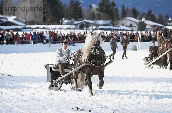 Menschen beim Pferderennen Festival  Rottach-Egern  Bayern  Deutschland