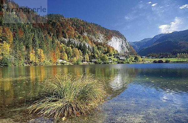 Reflexion der Bäume in See  Grundelsee  Österreich