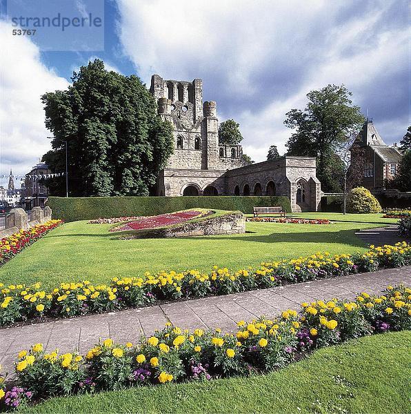 Formalen Garten vor Kloster  Kelso Abbey  Schottland