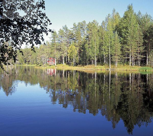 Reflexion der Bäume in Wasser  Norwegen