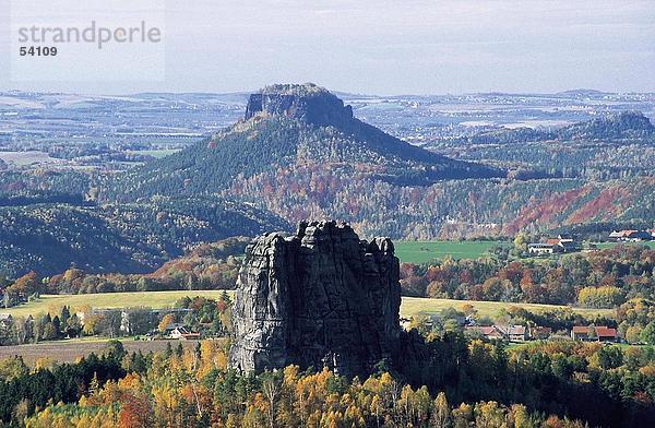 Bäume auf Bergwelt  Mt Falkenstein  Mt Lilienstein  Niedersachsen  Deutschland