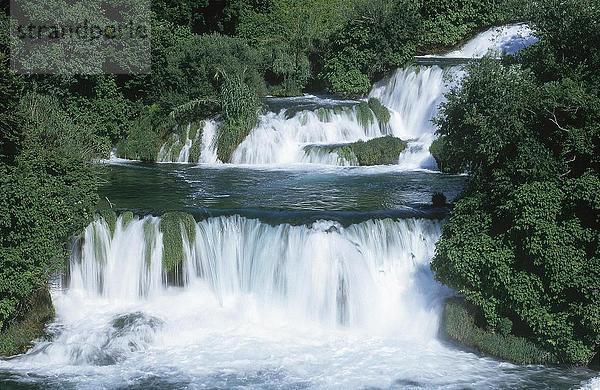 Wasser fließt durch einen Wald  Krka Nationalpark  Mitteldalmatien  Kroatien