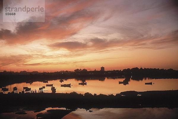 Fischerboote in Fluss während des Sonnenuntergangs  San Fernando  Cadiz  Cádiz  Andalusien  Spanien