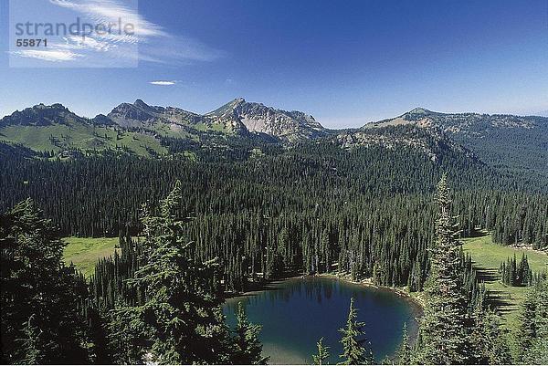 See  umgeben von Bäumen  Cascade Range  Mount-Rainier-Nationalpark  US-Bundesstaat Washington  USA