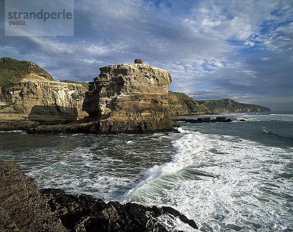 Felsformation bei Küste  Muriwai Beach  North Island  Neuseeland