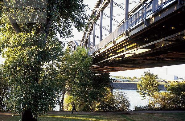 Untersicht Brücke über Fluss  Frankfurt  Deutschland  Europa