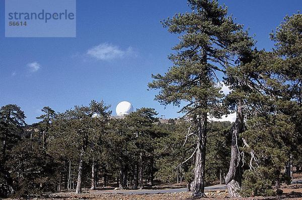 Bäume im Wald mit Radar im Hintergrund gegen blauen Himmel  Trodos Berge  Zypern
