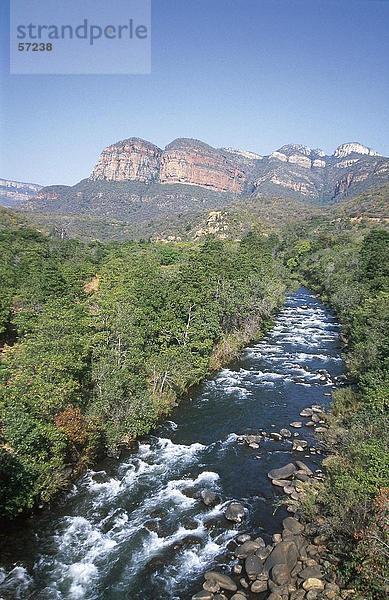 Vogelperspektive Blick auf ein Fluss  der durch einen Wald  Blyde River Canyon  Mpumalanga  Südafrika