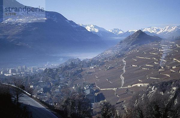 Erhöhte Ansicht der Weinberge auf einem Berg  Sion  Wallis  Schweiz