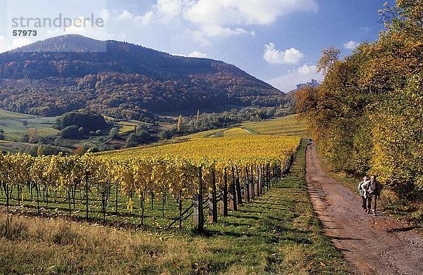 Zwei Menschen gehen auf unasphaltierten Straße  Pfaelzerwald  Pfalz  Deutschland