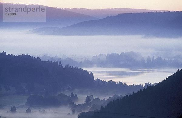 Nebel über See und Wald  Titi See  Schwarzwald  Deutschland