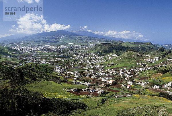 Erhöhte Ansicht der Stadt im Tal  Valle De La Orotava  Teneriffa  Kanaren  Spanien