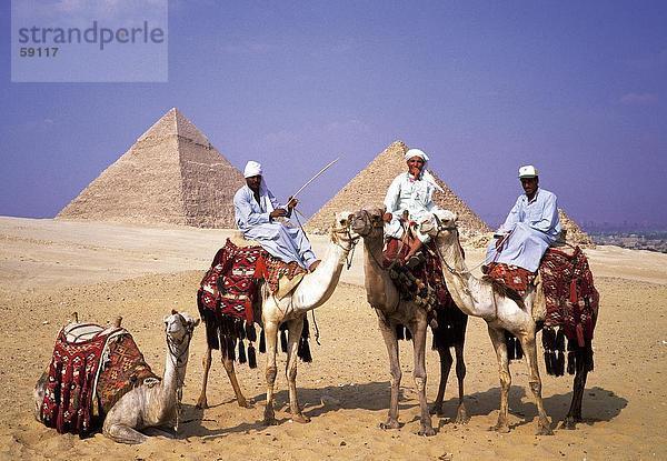 Drei Männer reiten Kamele  Pyramiden  Ägypten  Afrika