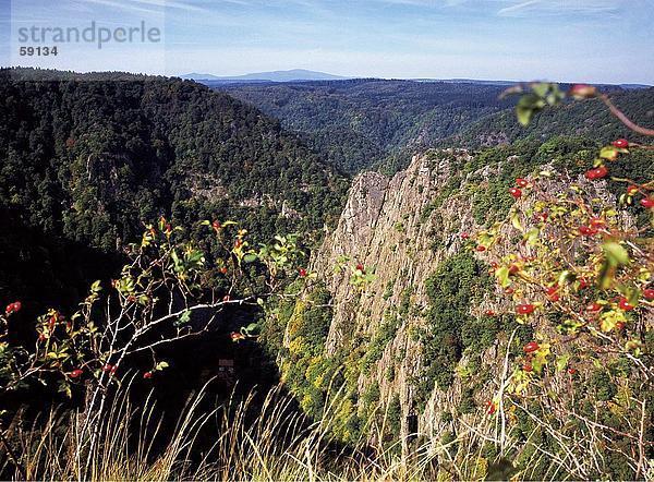 Panoramablick auf ein Gebirge  Brocken  Braunlage  Niedersachsen  Deutschland