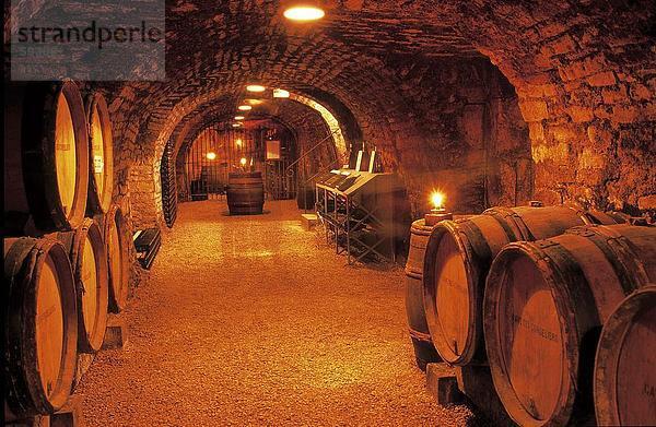 Beleuchtete Innenräume der Wein Weinkeller  Beaune  Burgund  Frankreich