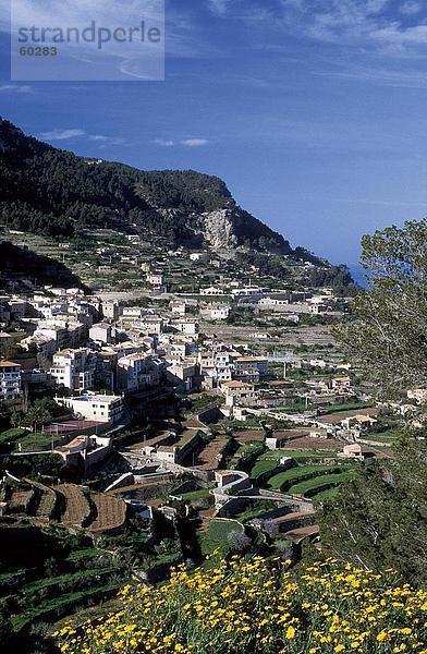 Blumen in voller Blüte mit Dorf im Hintergrund  Banyalbufar  Mallorca  Balearen  Spanien