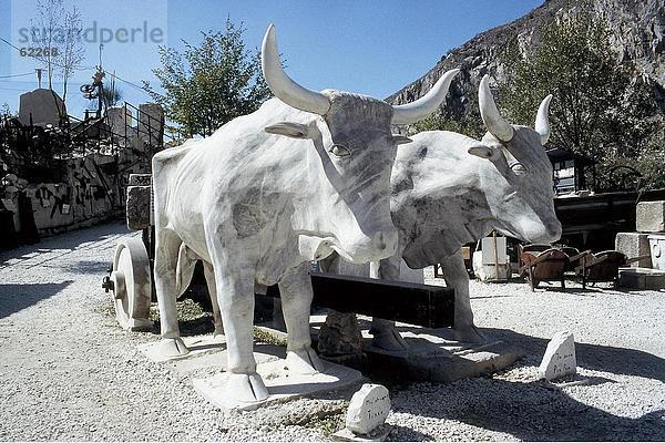 Skulptur von Ochsenkarren in der Stadt  Carrara  Toskana  Italien