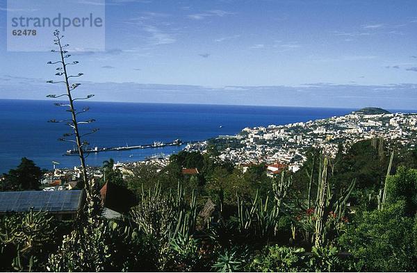 Erhöhte Ansicht einer Stadt an einer Küste  Madeira  Portugal
