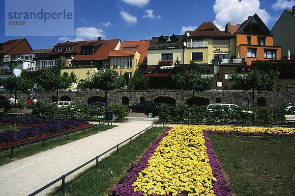 Blume Gebäude frontal Garten Deutschland Waren Mecklenburg Vorpommern