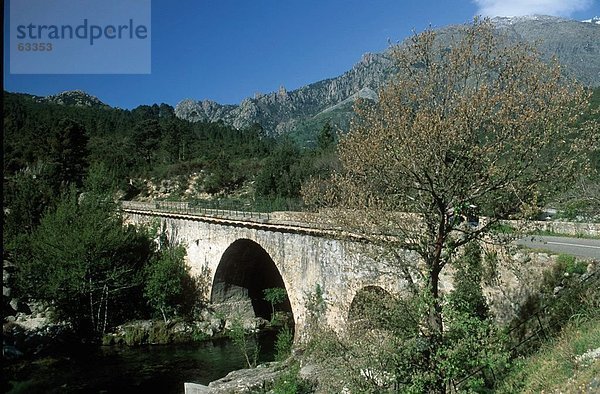 Brücke über Fluss in Tal  Vecchio River  Korsika  Frankreich