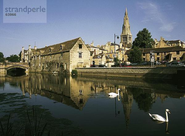 Swans Schwimmen im Fluss  Marienkirche  Leicestershire  Frankreich  Europa