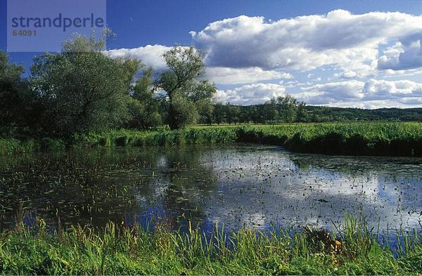 Wolken spiegelt sich in einem Fluss  Nationalpark Untere Odertal  Brandenburg  Olše  Deutschland