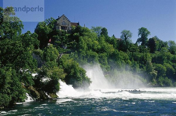 Touristen in einer Tour Boot an den Wasserfällen  Rheinfall  Schaffhausen  Schweiz