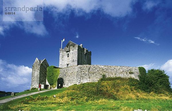 Grassland in der Nähe Schloss Dunguaire Castle  bei  County Galway  Irland