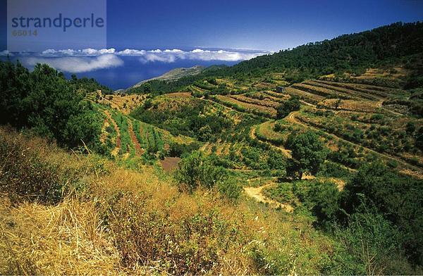 Erhöhte Ansicht der Terrassen am Berg  Kanaren  La Palma  Kanarische Inseln  Spanien
