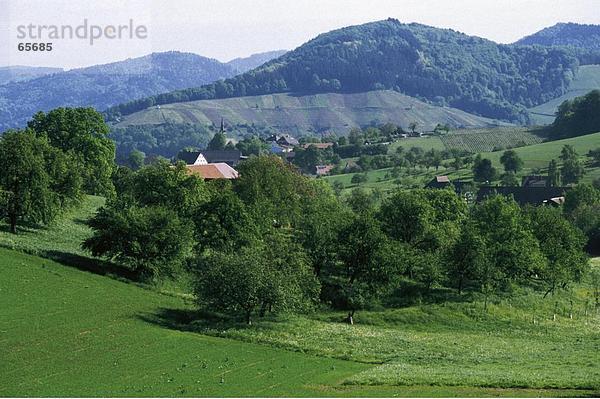 Kirche im Dorf  Glottertal  Breisgau-Hochschwarzwald  Schwarzwald  Baden-Württemberg  Deutschland