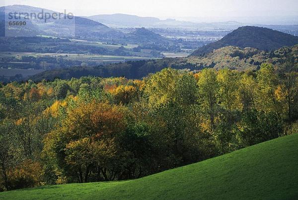 Erhöhte Ansicht des Waldes  Markgräflerland  Schwarzwald  Baden-Württemberg  Deutschland