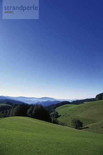 Hügellandschaft unter blauen Himmel  St. Maergen  Schwarzwald  Deutschland