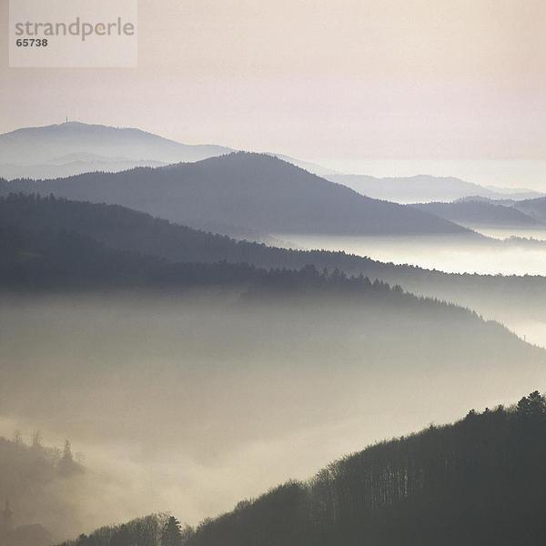 Nebel über Berge im Morgengrauen  Schwarzwald  Baden-Württemberg  Deutschland