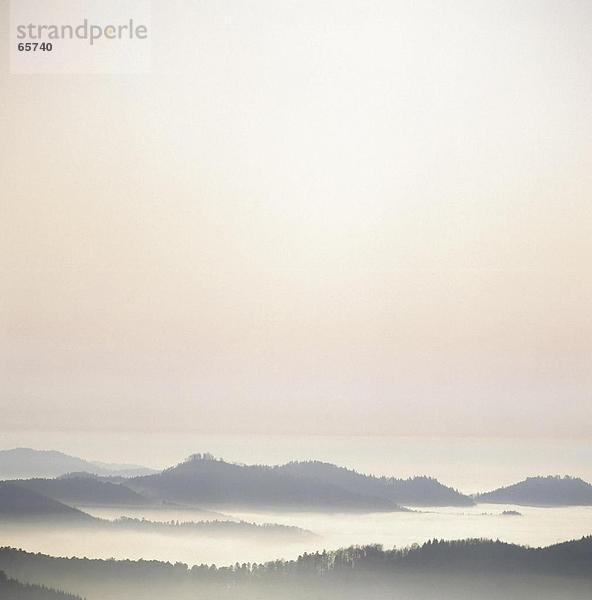 Erhöhte Ansicht von Wald bedeckt mit Nebel  Schwarzwald  Deutschland