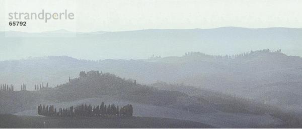 Erhöhte Ansicht von Wald bedeckt mit Nebel  Toskana  Italien