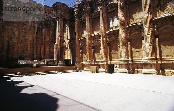 Spalten der Tempel  Bacchus  Baalbek  Bekaa-Ebene im Libanon