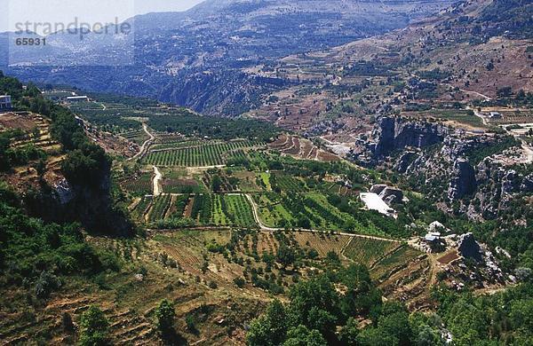 Vogelperspektive Ansicht der Senke  Libanon  Libanon