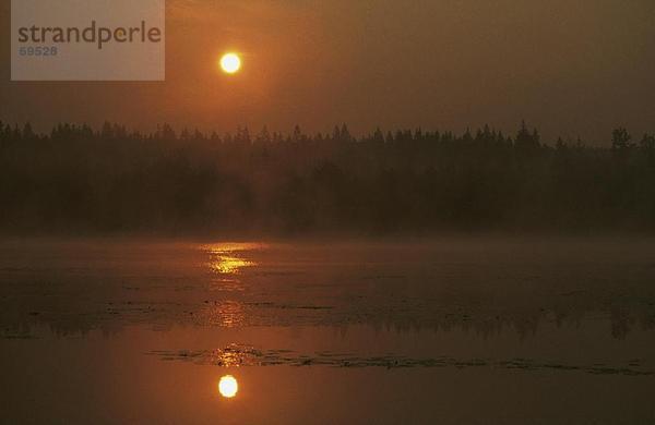 Sonnenaufgang über Lake  Yggerydson Lake  Smaland  Schweden