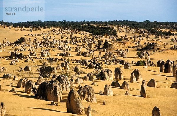 Felsformationen auf Landschaft  Pinnacles Wüste  Nambung-Nationalpark  Australien