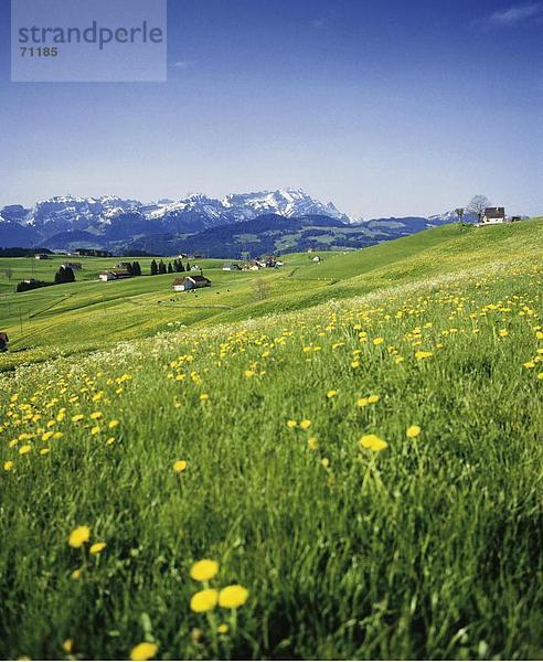 10021559  Appenzell  Appenzellerland  Landschaft  Schweiz  Europa  Wiese  grün