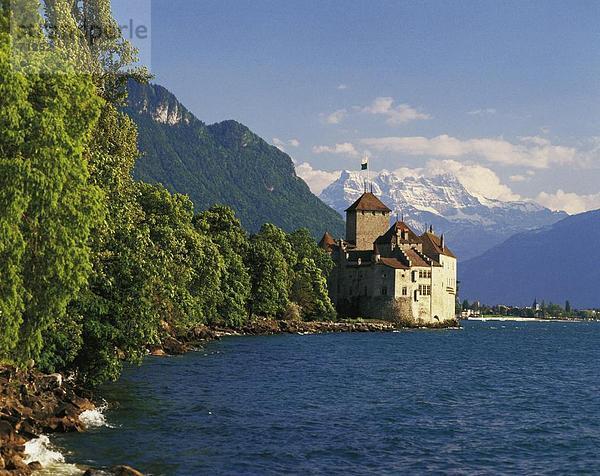 10043050  außerhalb  Dents du Midi  Büsche  Dickicht  Schloss Chillon  Schweiz  Europa  Genfersee  Genfersee  Waadt