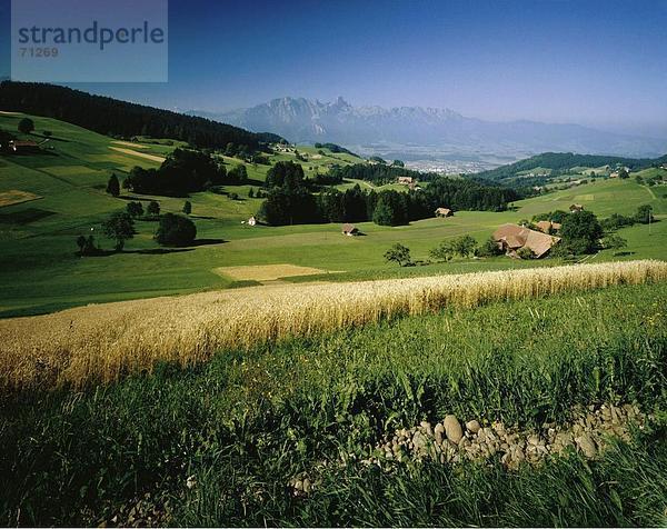 Landschaftlich schön landschaftlich reizvoll Europa Bauernhof Hof Höfe Feld sehen blicken Kanton Bern Schweiz Thun