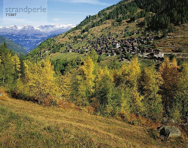 10048917  Ansicht  Ei Kaufmann  Landschaft  Gebirge  alpine  Alpen  Herbst  Schweiz  Europa  Tal  Überblick  Val d ' Anniviers