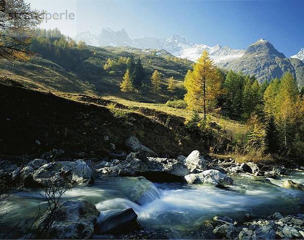 10051976  alpine  Alpen  Berge Berghang  Bergpanorama  Fluss  Fluss  Herbst  la Drance  Landschaft  Mont Dolent  Sw