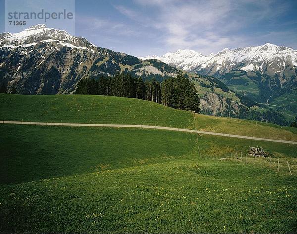 Landschaftlich schön landschaftlich reizvoll Berg Alpen Berner Oberland Kanton Bern Bergpanorama