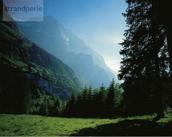 Landschaftlich schön landschaftlich reizvoll Europa Berg Rauch Alpen Kanton Glarus Bergmassiv Hang Schweiz