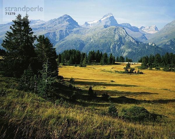 10055949  Alm  Flix  Berg-Panorama  Alpen  Berge  Graubünden  Graubünden  Landschaft  Oberhalbstein  Piz Platta  Schweiz