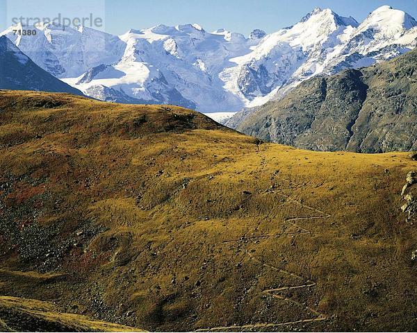 10055956  Bellavista  Berg-Panorama  Alpen  Berge  Engadin  Graubünden  Graubünden  Landschaft  Morteratsch  Piz Bernina  Pi