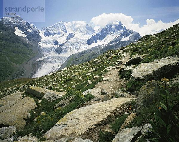10055983  Schweiz  Europa  Graubünden Graubünden  Bergpanorama  Alpen  Berge  Engadin  Stein  Landschaft  Piz Bernina
